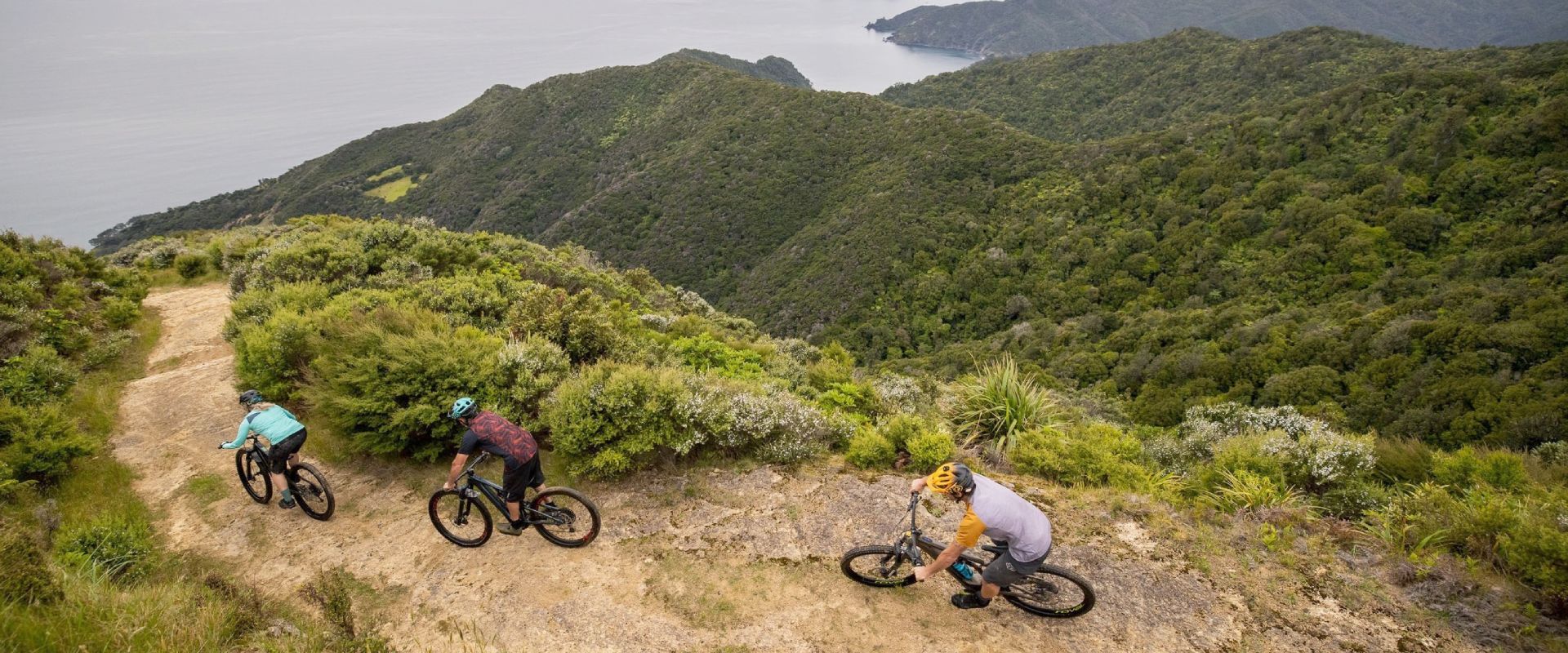Cycling in the Coromandel