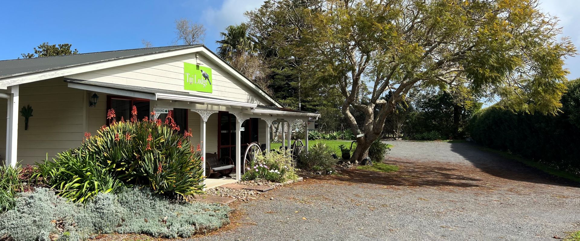 Coromandel camping ground