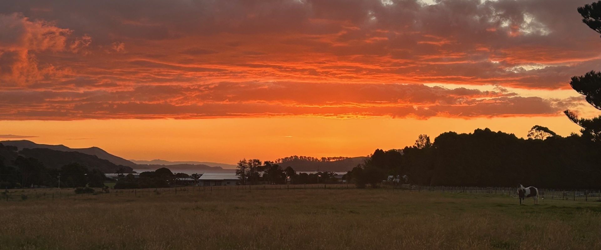 Camping ground in Coromandel
