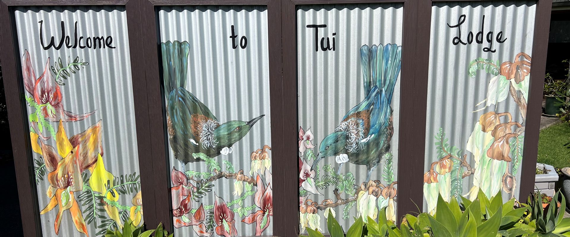 Accommodation in Coromandel